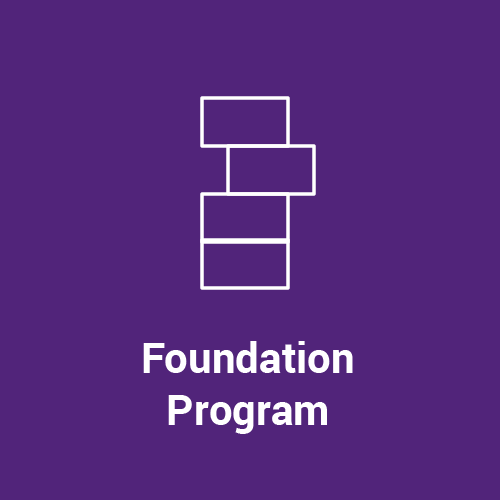 foundation program